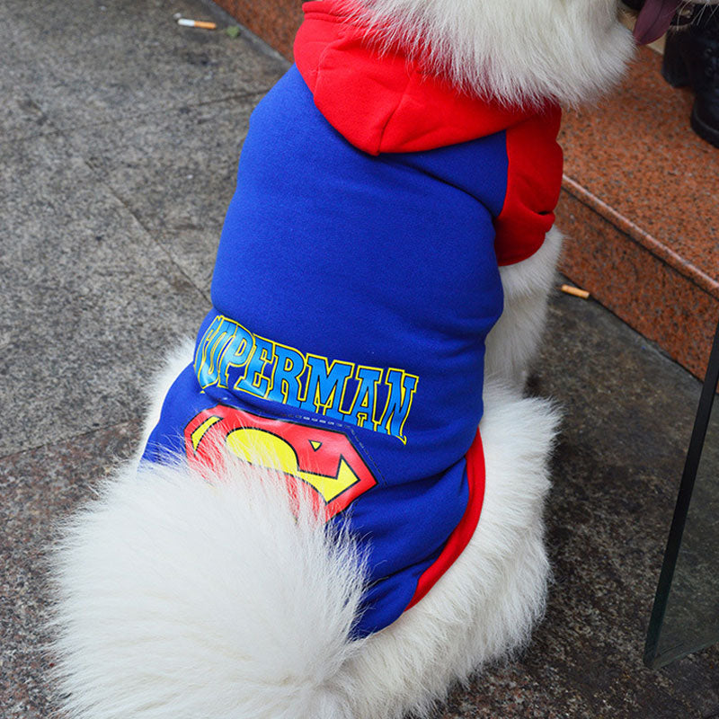 Superman 2025 dog sweater